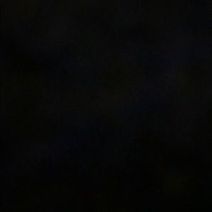 Meet your Posher, Ella